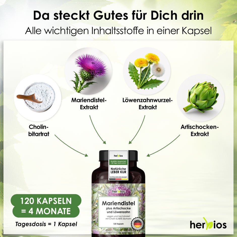 Mariendistel Plus Artischocke & Löwenzahn