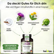 Mariendistel Plus Artischocke & Löwenzahn