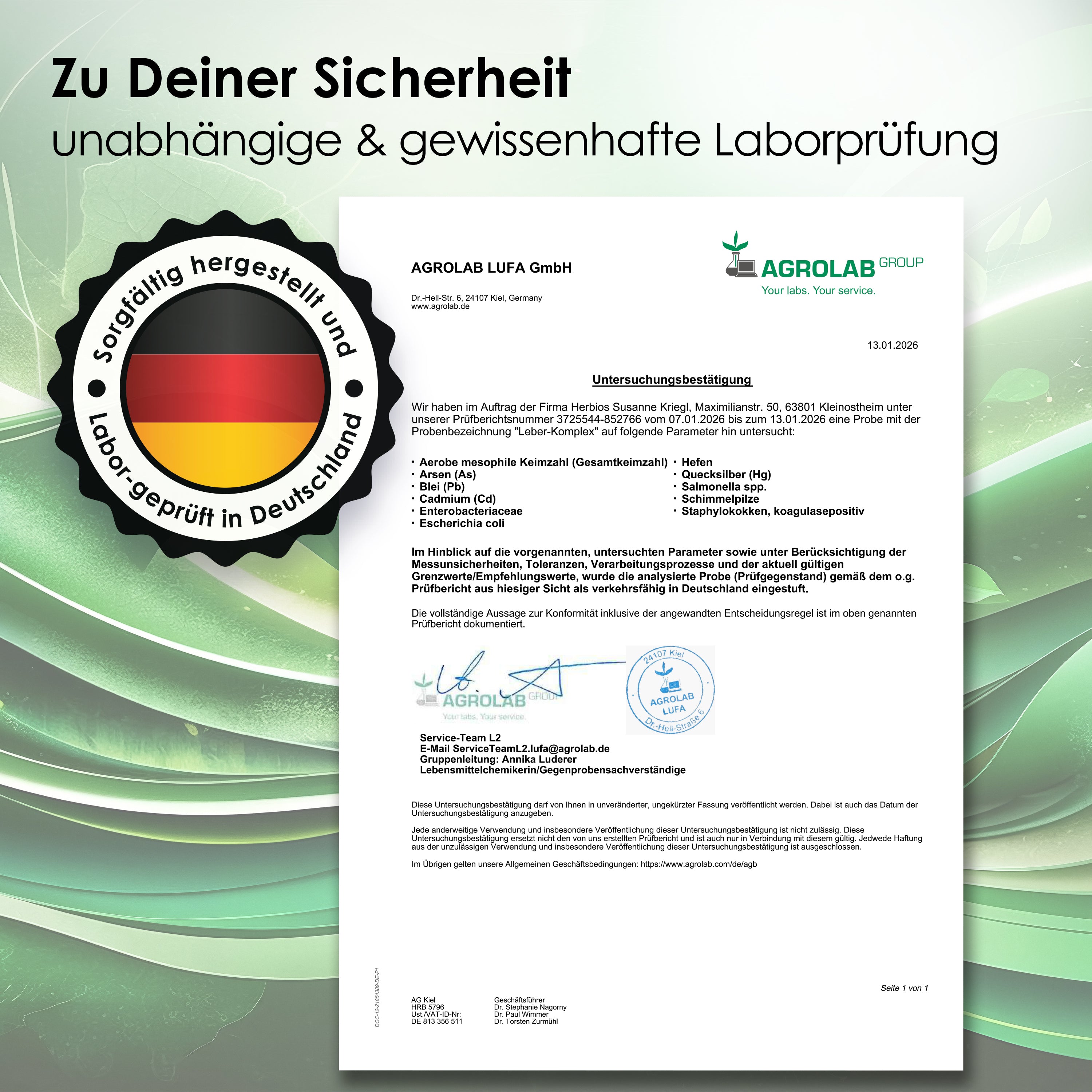 Leber-Komplex