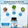 Entwässerungs-Kapseln
